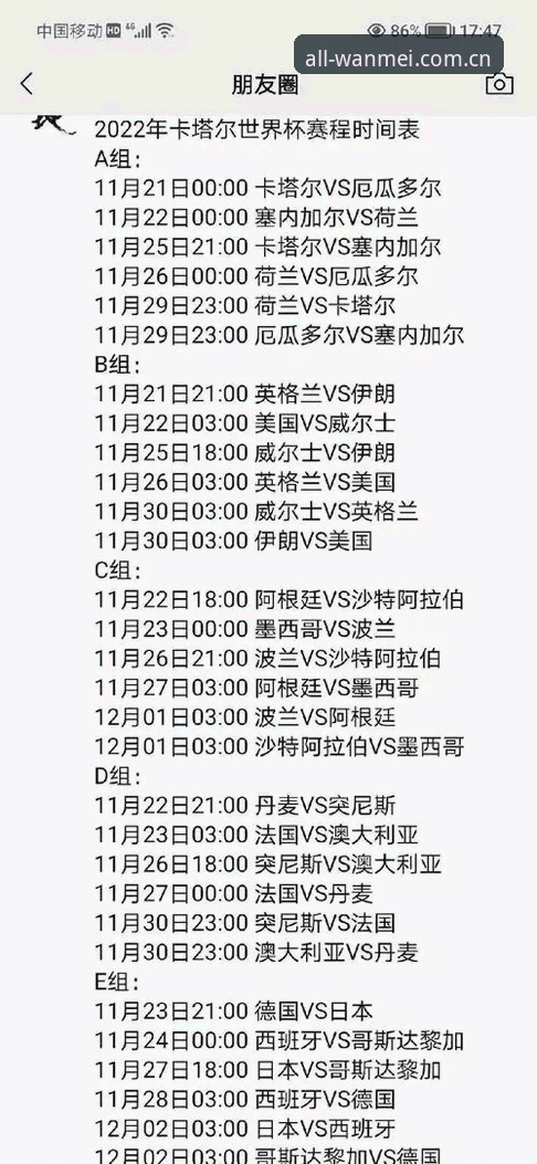 世界杯观赛困境解析：签证壁垒如何影响全球球迷热情
